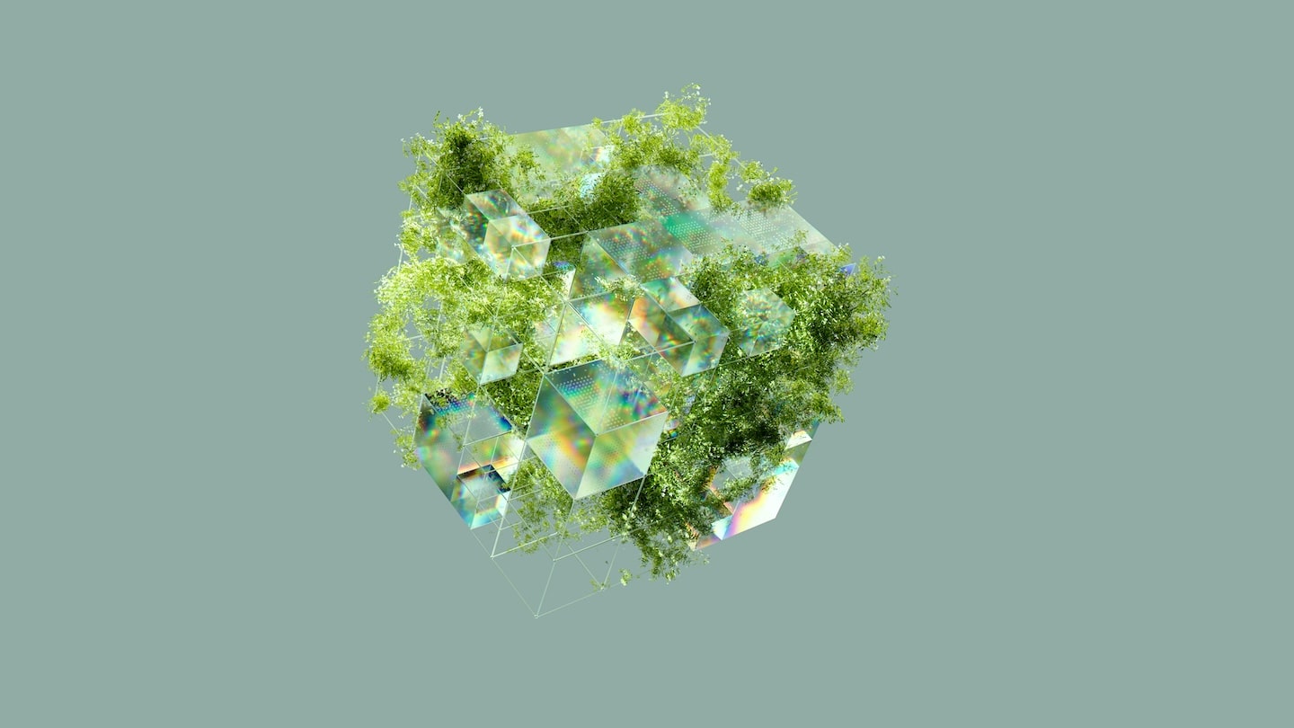 Transaction-level carbon footprint for a green FinTech